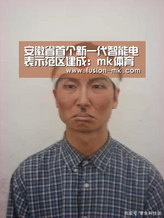 安徽省首个新一代智能电表示范区建成：mk体育app