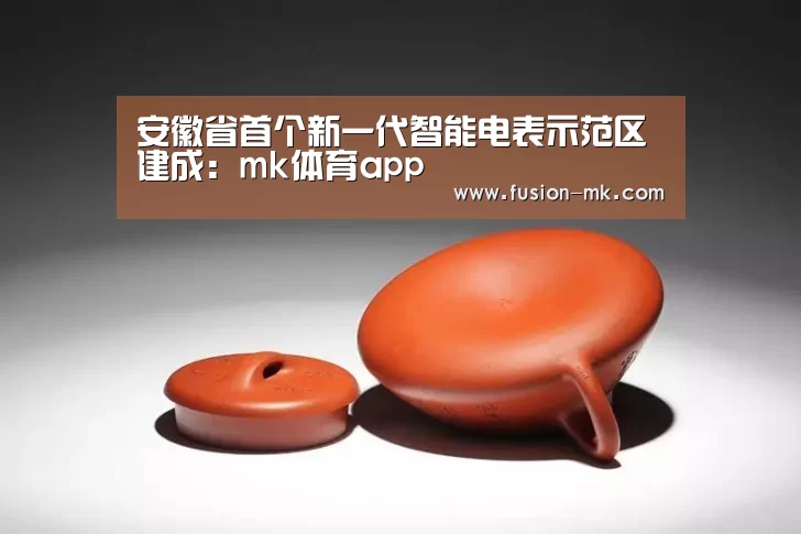 安徽省首个新一代智能电表示范区建成:mk体育app(图3) mk体育注册