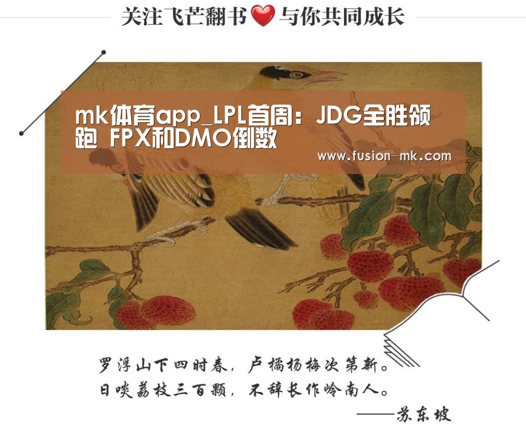 mk体育注册